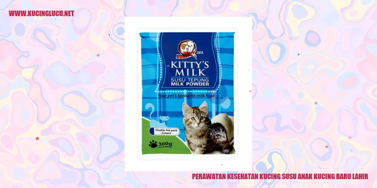 Perawatan Kesehatan Kucing Susu Anak Kucing Baru Lahir