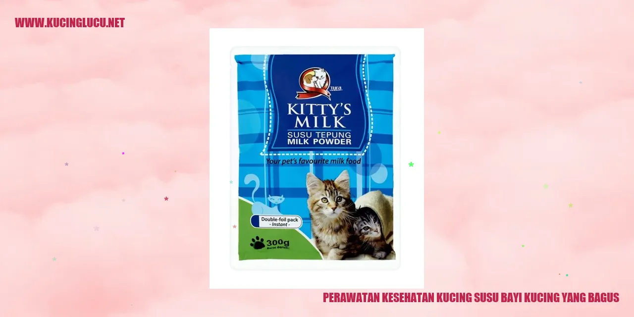 Perawatan Kesehatan Kucing Anak Susu Bayi Kucing yang Bagus