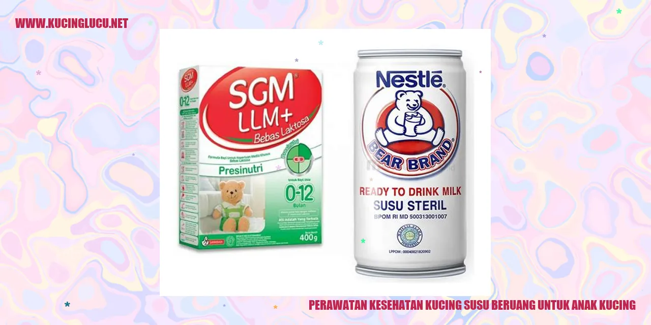 gambar kucing susu beruang