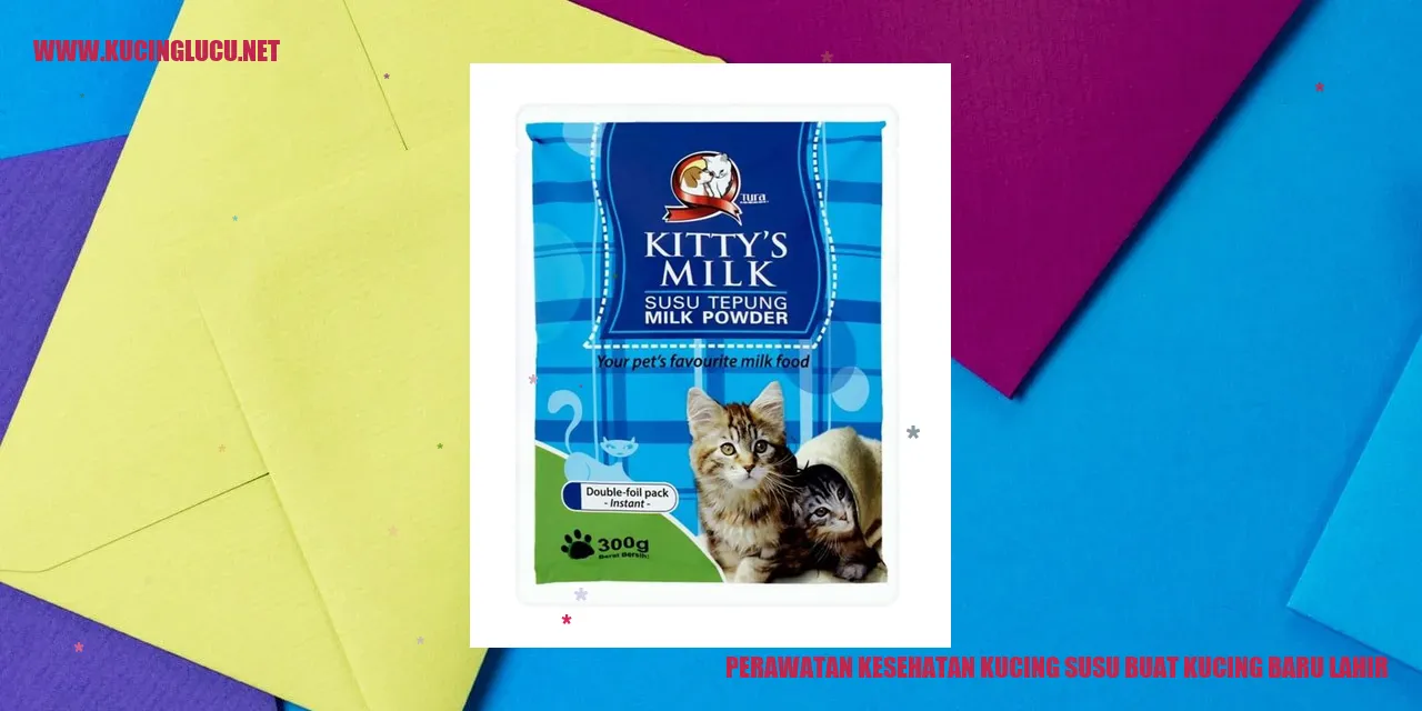 Foto Kucing Baru Lahir