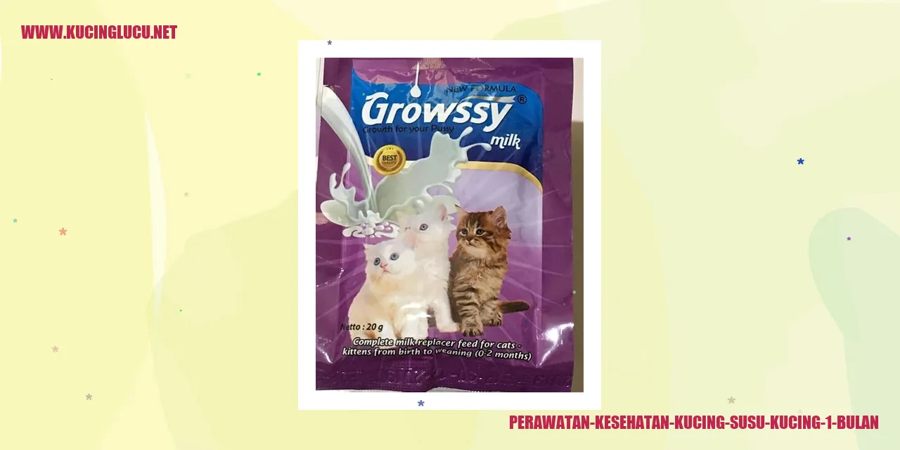 Perawatan Kesehatan Kucing