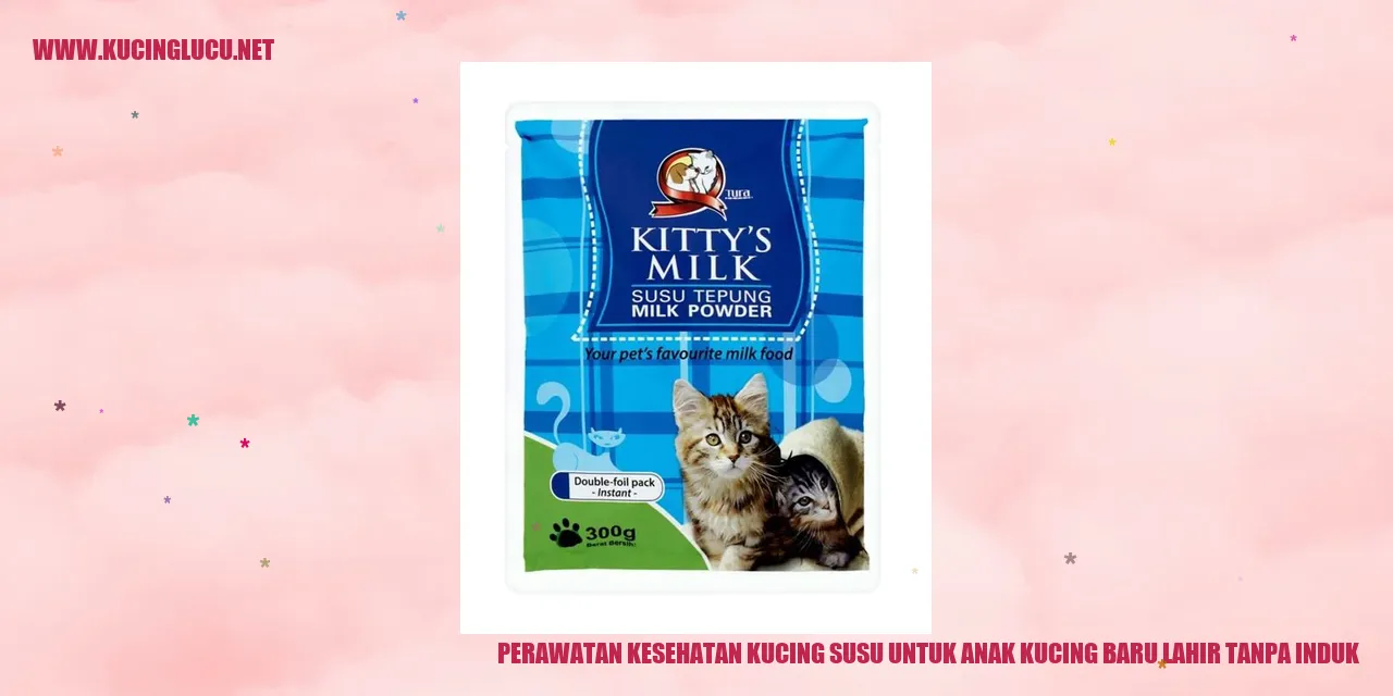 Kucing Menghisap Susu