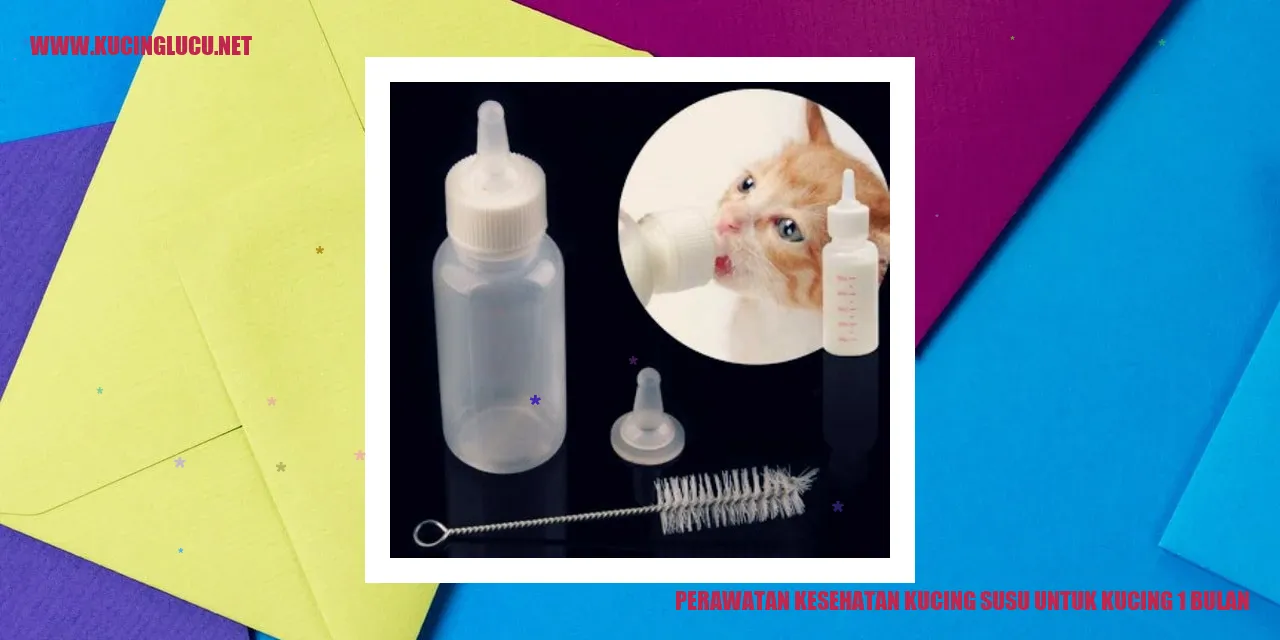 Perawatan Kesehatan Kucing Susu untuk Kucing 1 Bulan