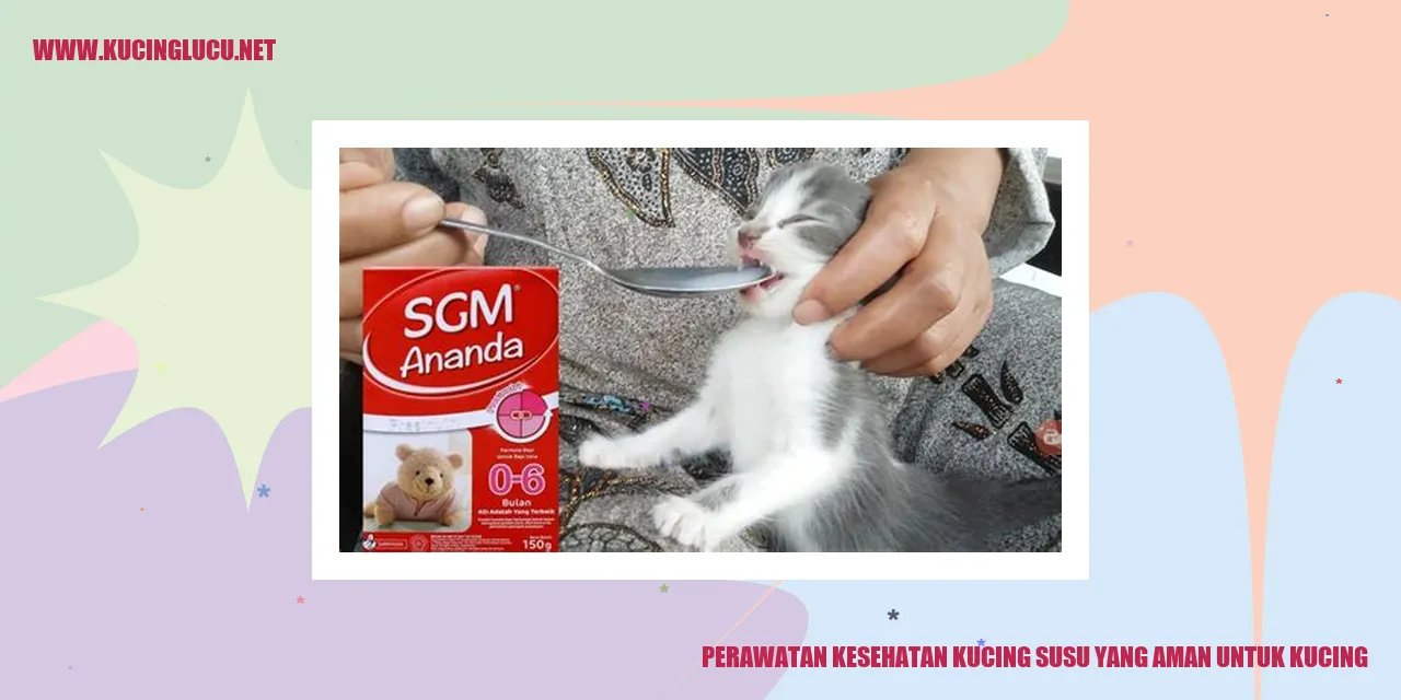 Perawatan Kesehatan Kucing