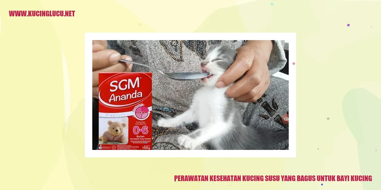 Pilihan Susu yang Berkualitas untuk Bayi Kucing