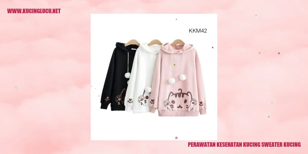 Perawatan Kesehatan Kucing Sweater Kucing