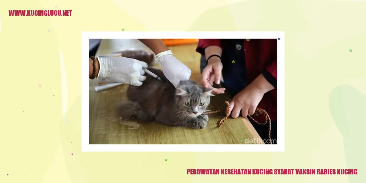 Perawatan Kesehatan Kucing dengan Persyaratan Vaksinasi Rabies