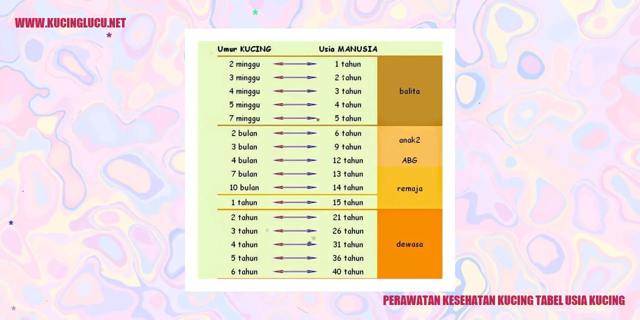 Perawatan Kesehatan Kucing Tabel Usia Kucing