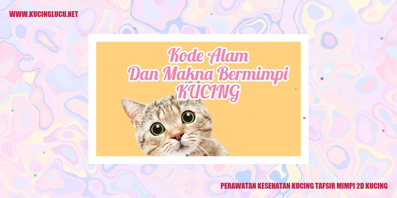 Perawatan Kesehatan Kucing