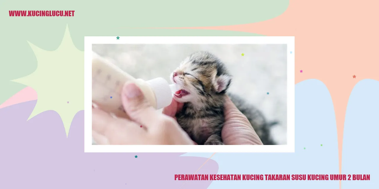 Perawatan Kesehatan Kucing takaran susu kucing umur 2 bulan