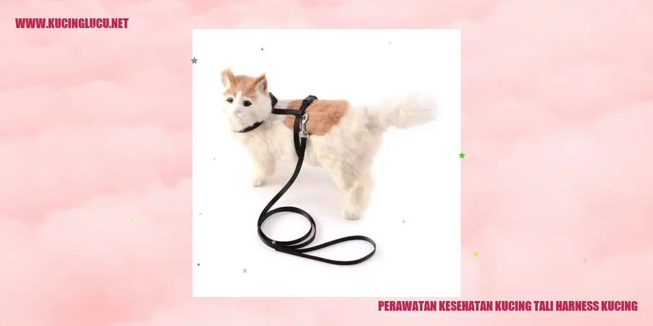 Perawatan Kucing dengan Tali Harness