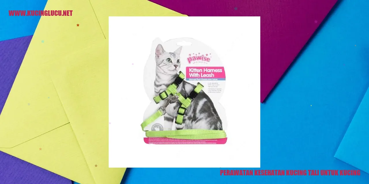 Perawatan Kesehatan Kucing tali untuk kucing