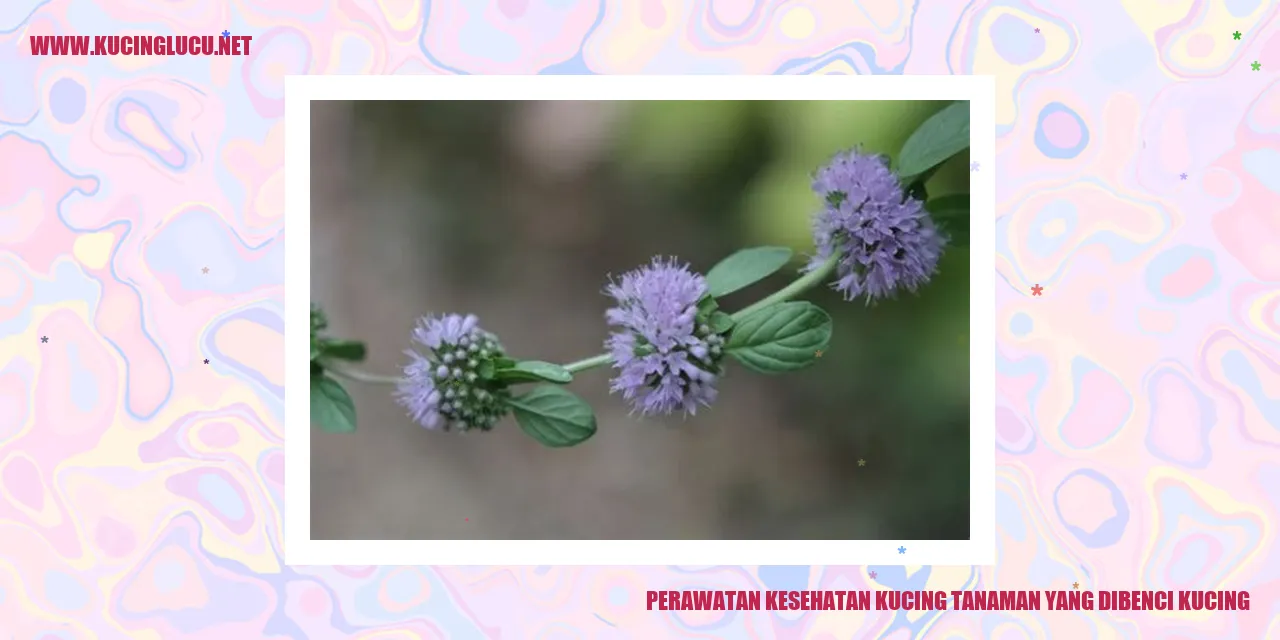 Perawatan Kesehatan Kucing tanaman yang dibenci kucing