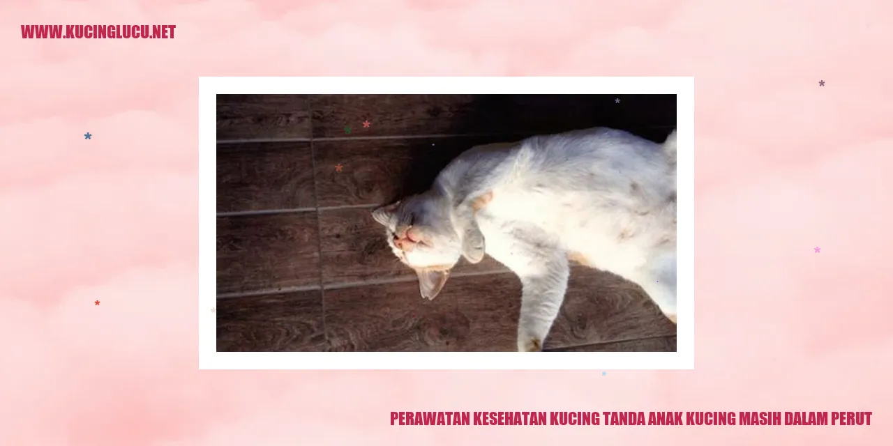 Perawatan Kesehatan Kucing tanda anak kucing masih dalam perut