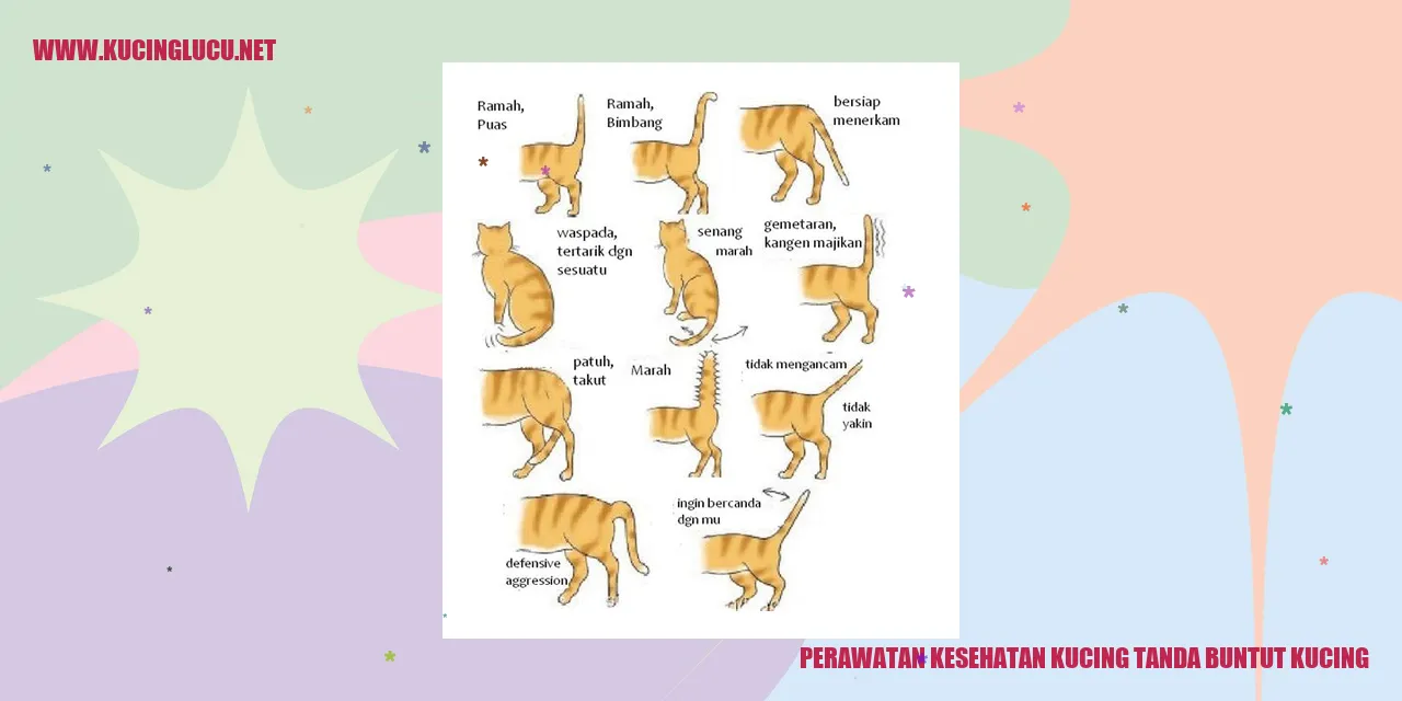 Perawatan Kesehatan Kucing