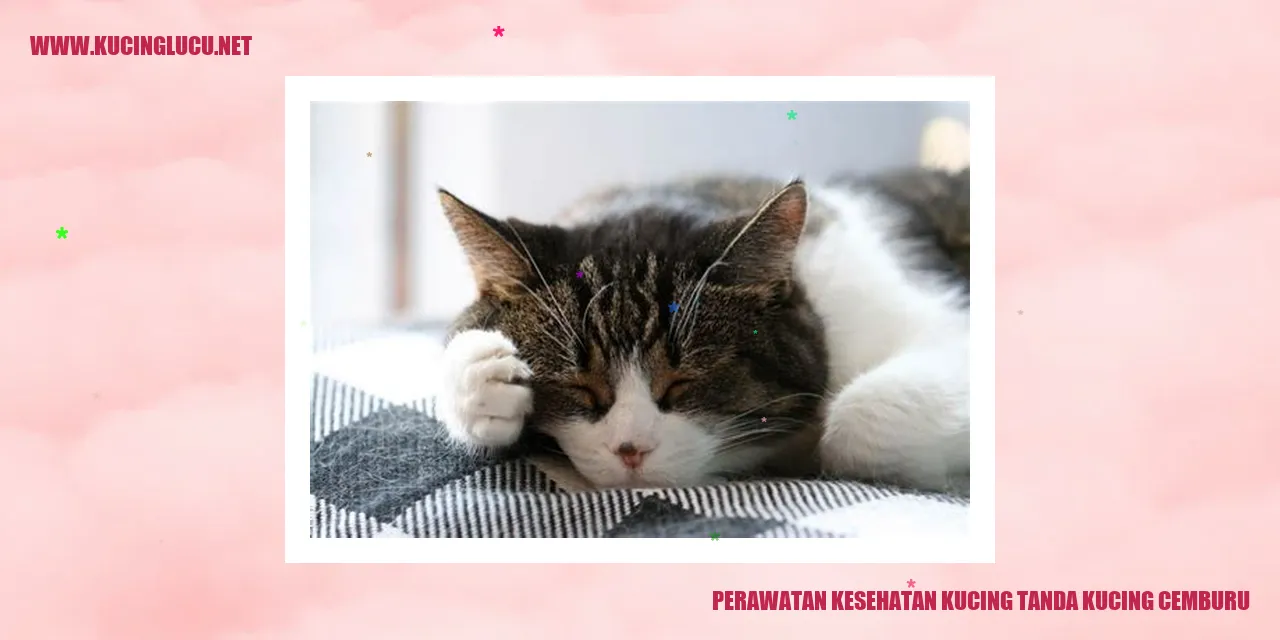 Perawatan Kesehatan Kucing