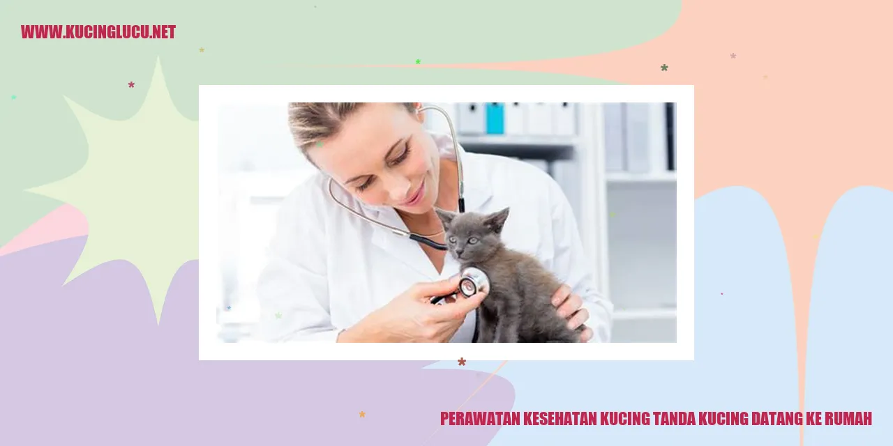 Perawatan Kesehatan Kucing
