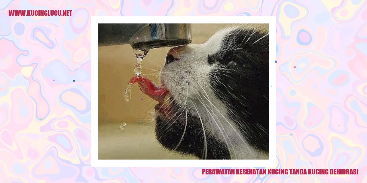 gambar kucing dehidrasi