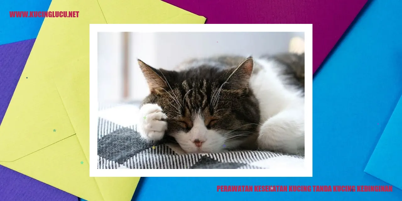 Gambar Kucing Menggigil