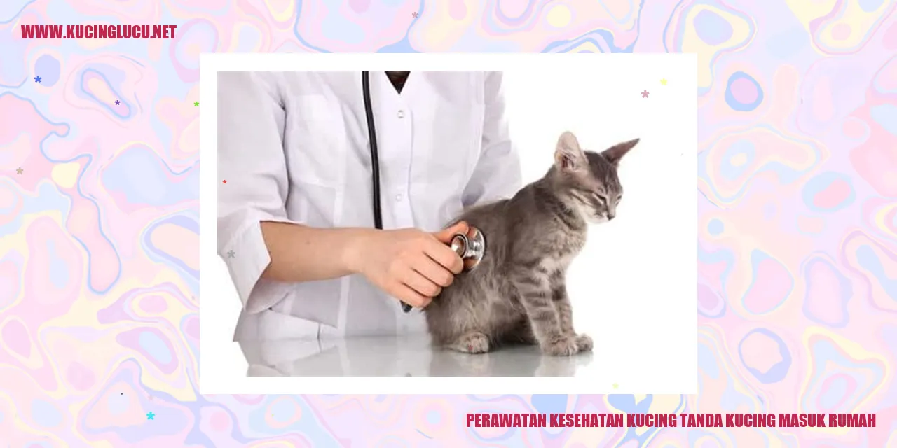 Perawatan Kesehatan Kucing