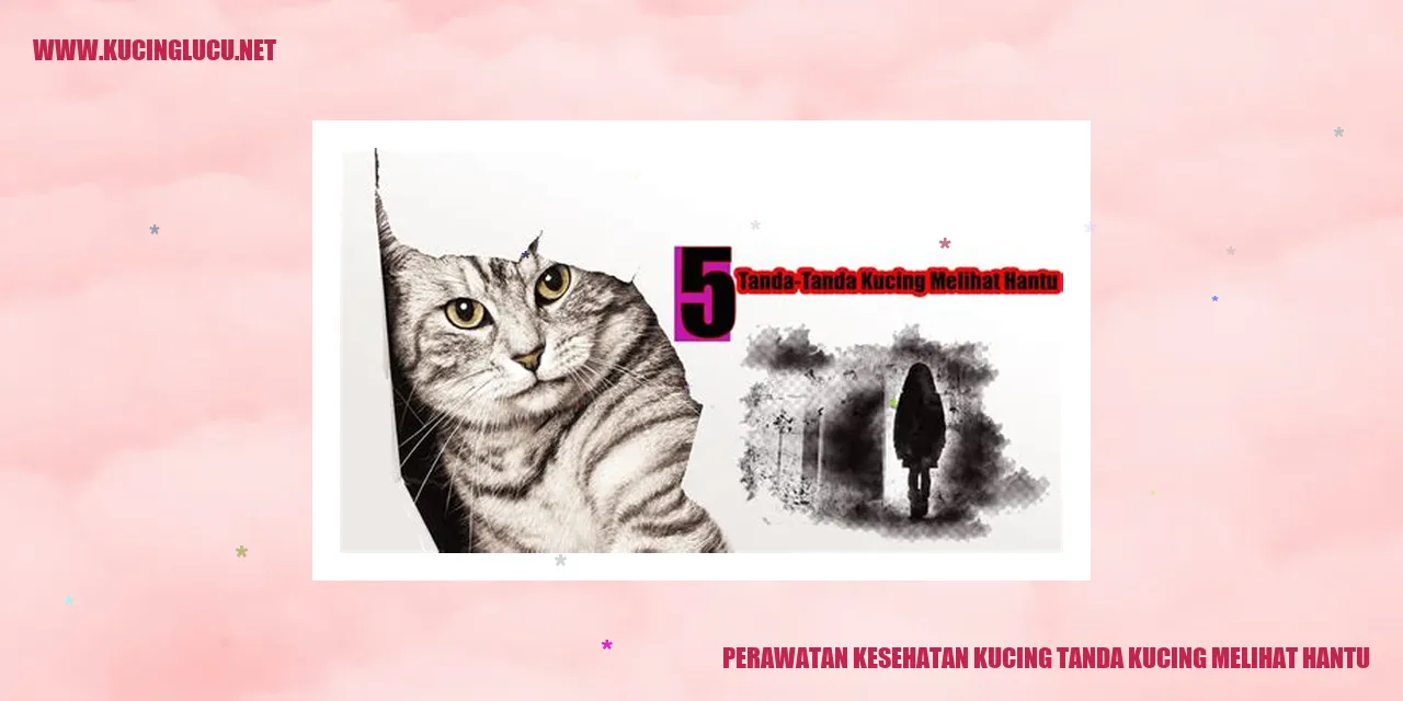 Gambar kucing yang lucu