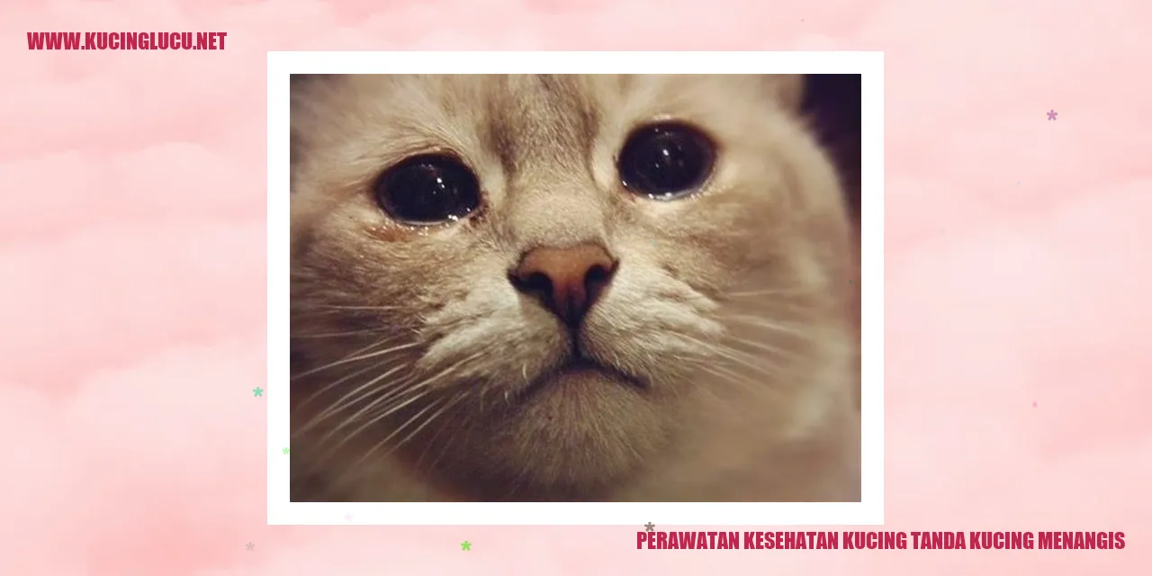 Gambar Kucing Menangis
