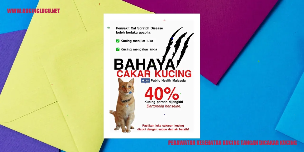 Perawatan Kesehatan Kucing tangan dicakar kucing