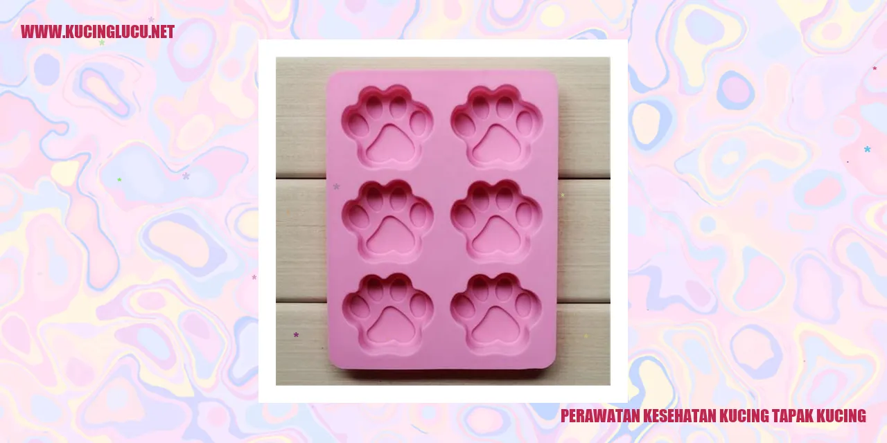 Perawatan Kesehatan Kucing tapak kucing