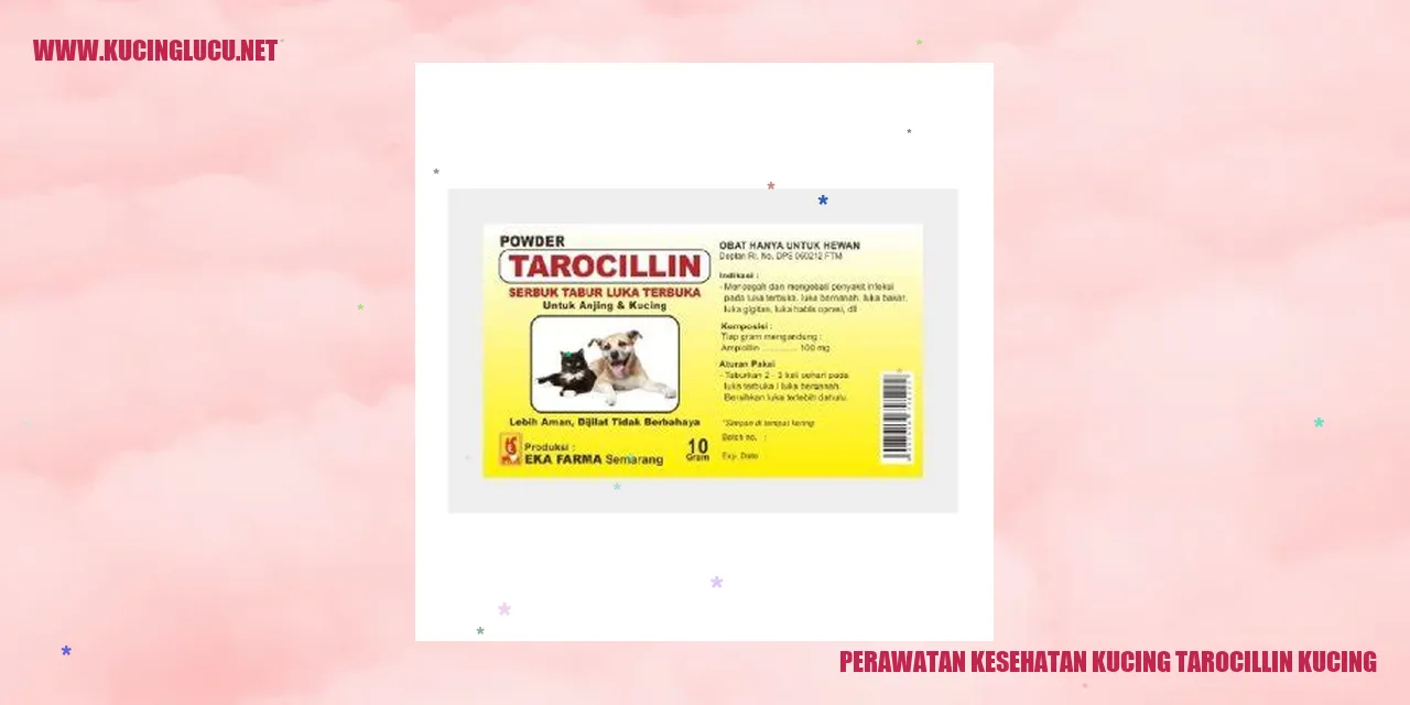 Perawatan Kesehatan Kucing