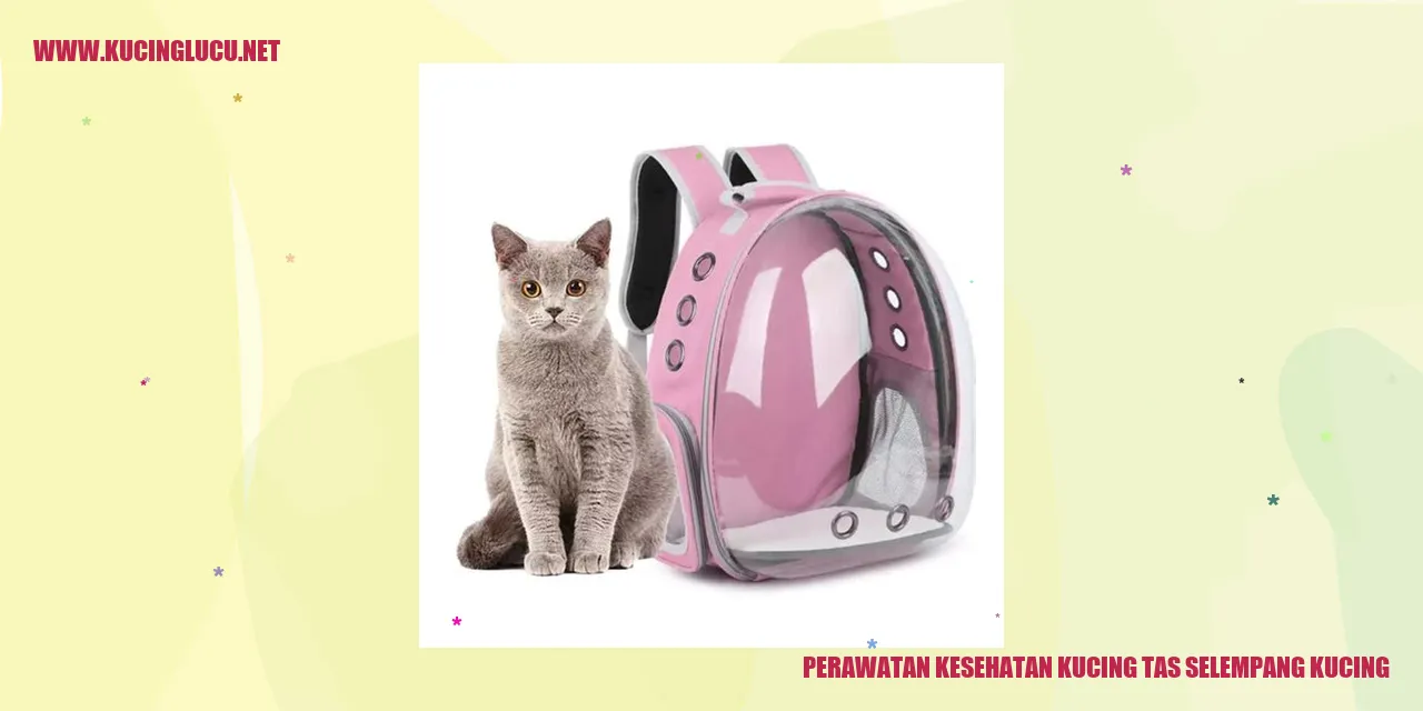 Perawatan Kesehatan Kucing tas selempang kucing