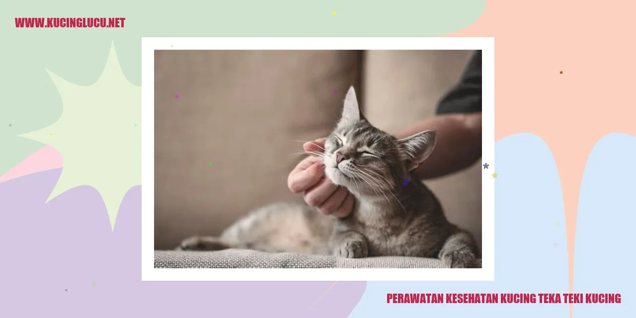 Kucing