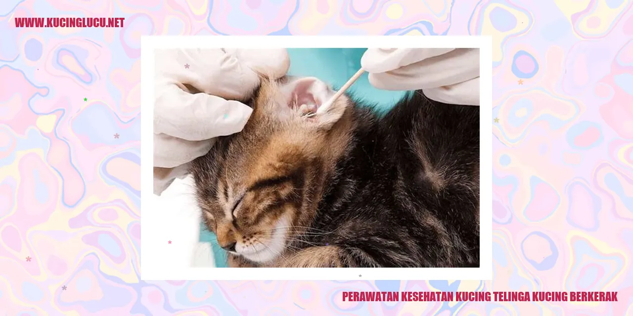Perawatan Kesehatan Kucing