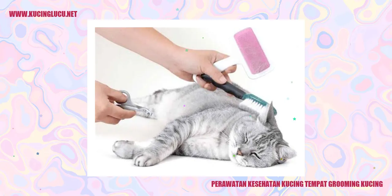Perawatan Kesehatan Kucing tempat grooming kucing