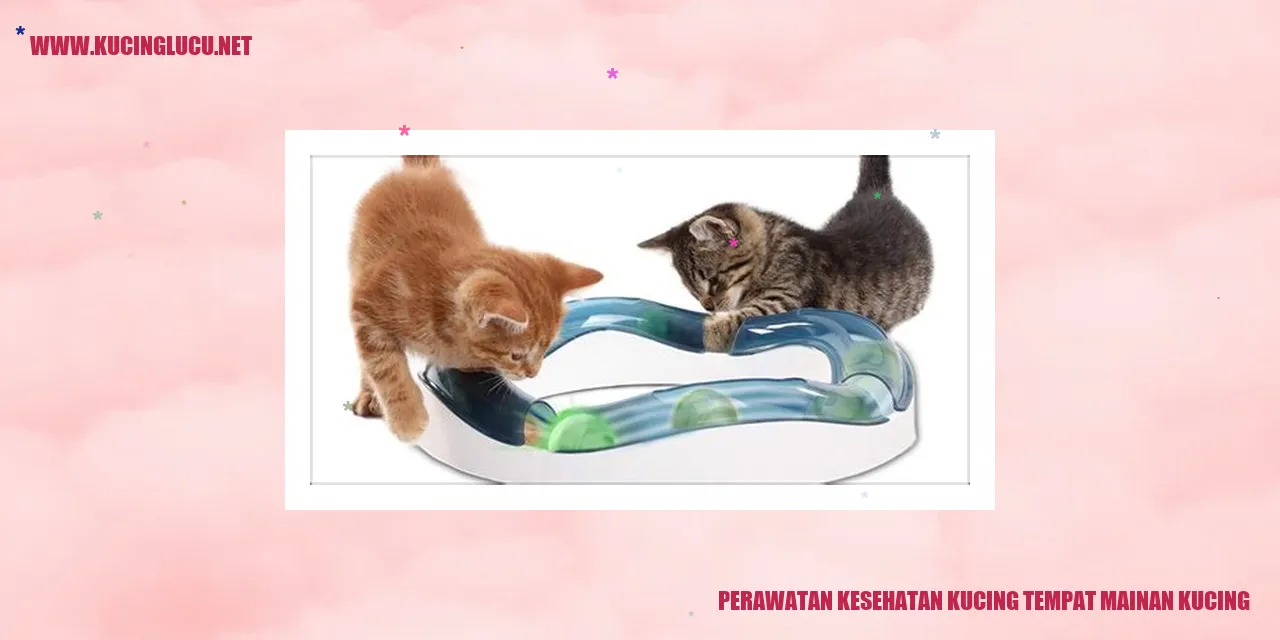 Perawatan Kesehatan Kucing dan Tempat Mainan yang Penting
