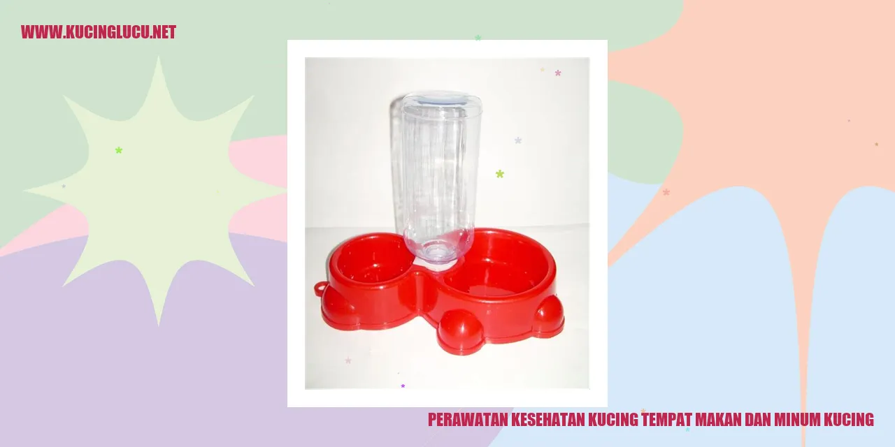 Perawatan Kesehatan Kucing tempat makan dan minum kucing