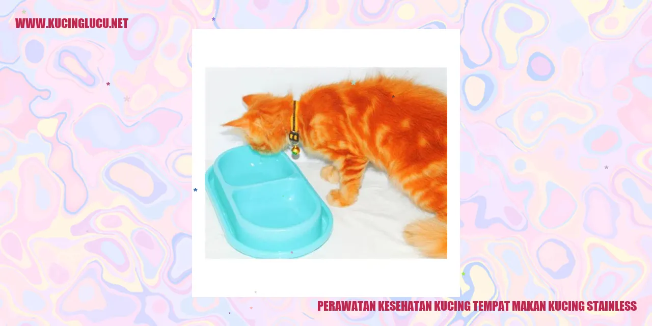 Perawatan Kucing