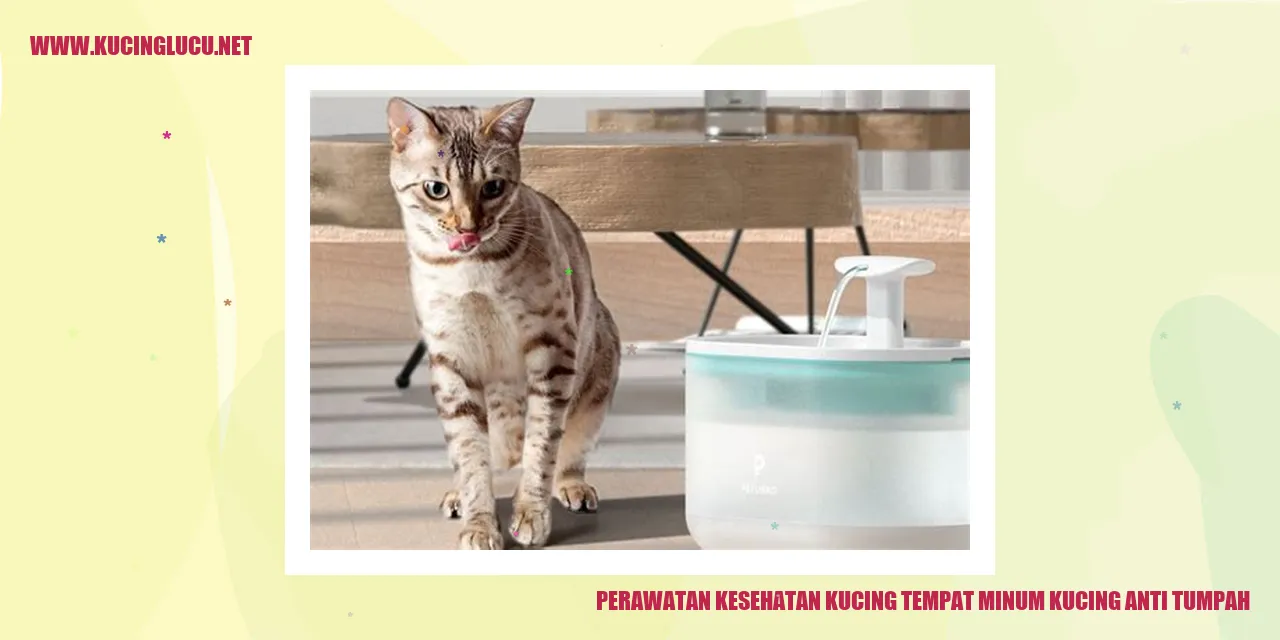 Perawatan Kesehatan Kucing tempat minum kucing anti tumpah