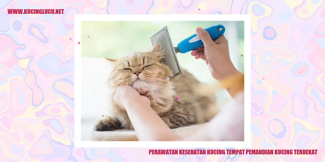 Perawatan Kesehatan Kucing