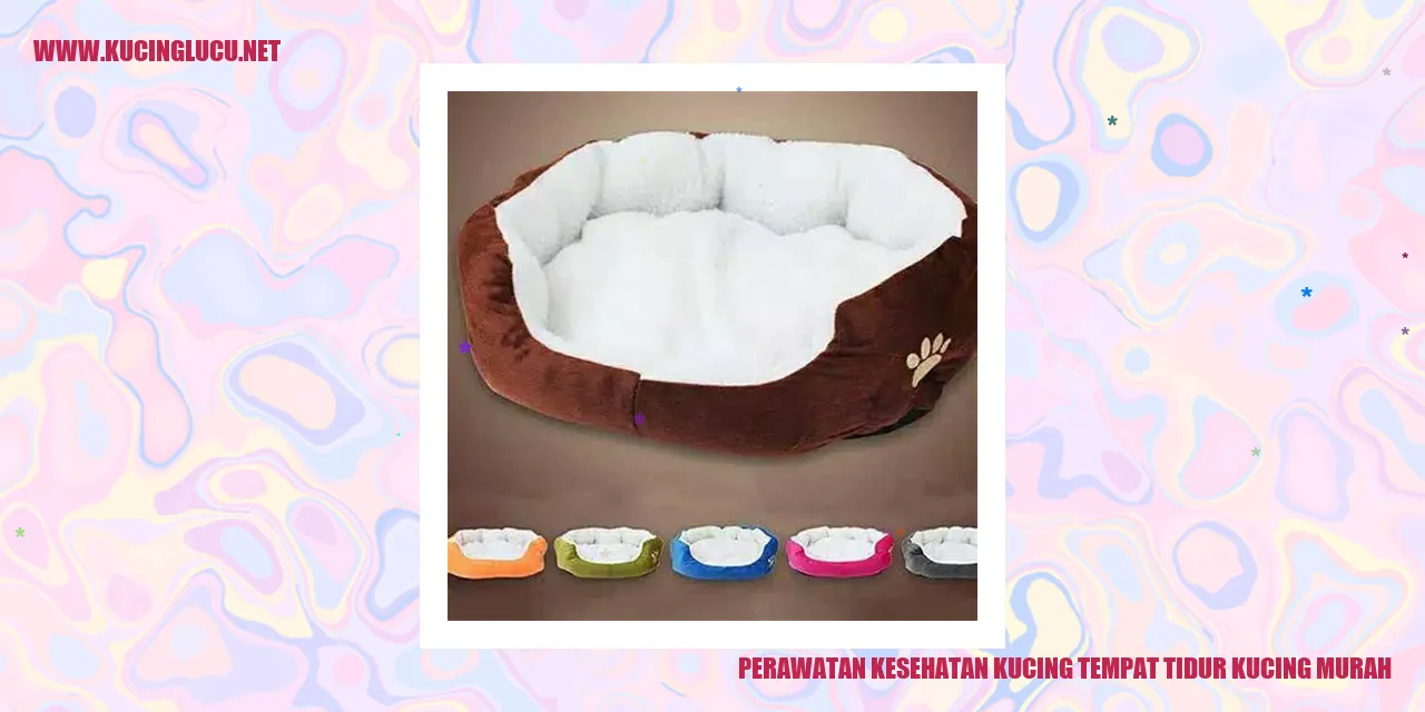 Perawatan Kesehatan Kucing Tempat Tidur Kucing Murah