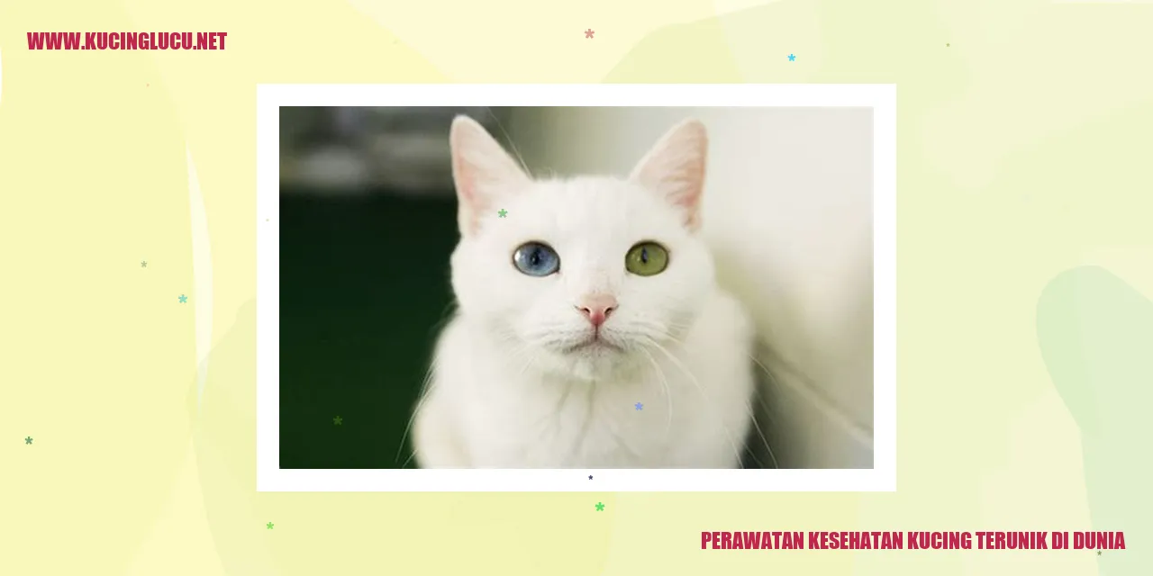 Perawatan Kesehatan Kucing terunik di dunia