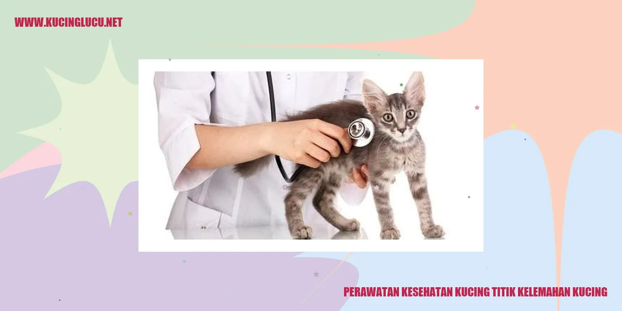 Perawatan Kesehatan Kucing