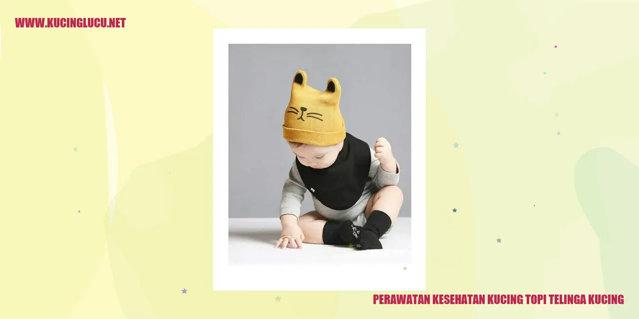 Gambar Kucing Topi Telinga