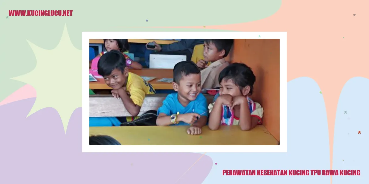 Perawatan Kesehatan Kucing tpu rawa kucing