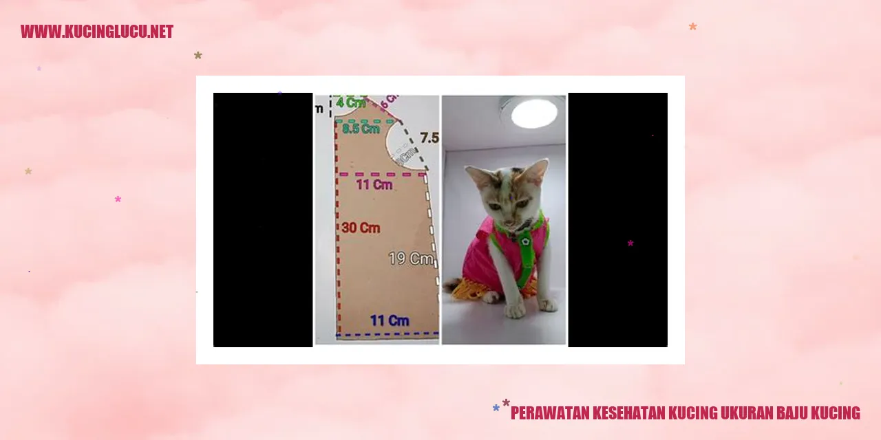 Perawatan Kesehatan Kucing ukuran baju kucing