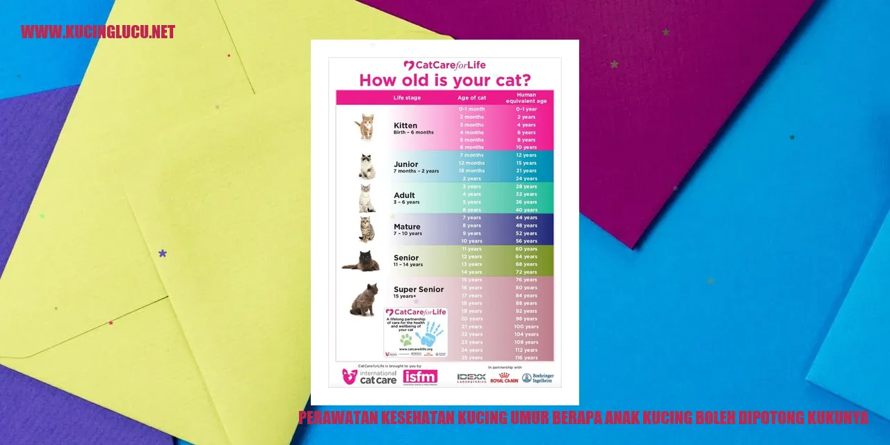 Gambar Kucing dengan Kuku yang Rapi