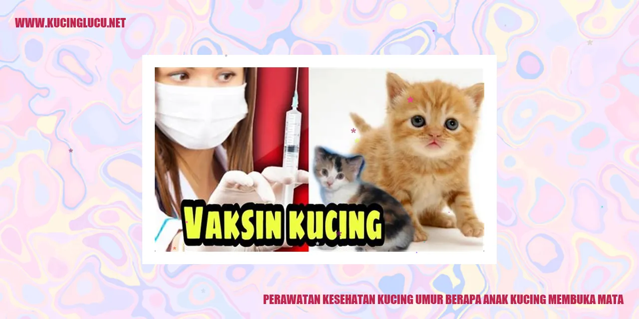 Gambar Kucing