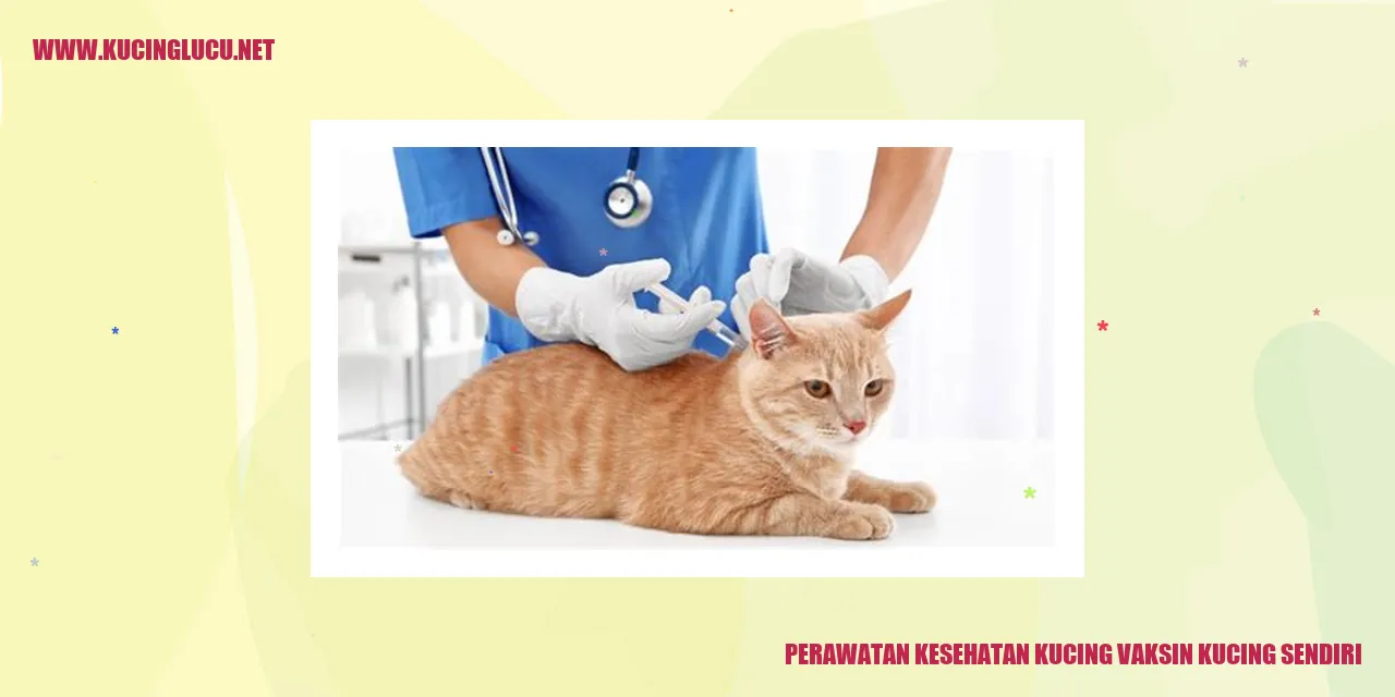Gambar Kucing