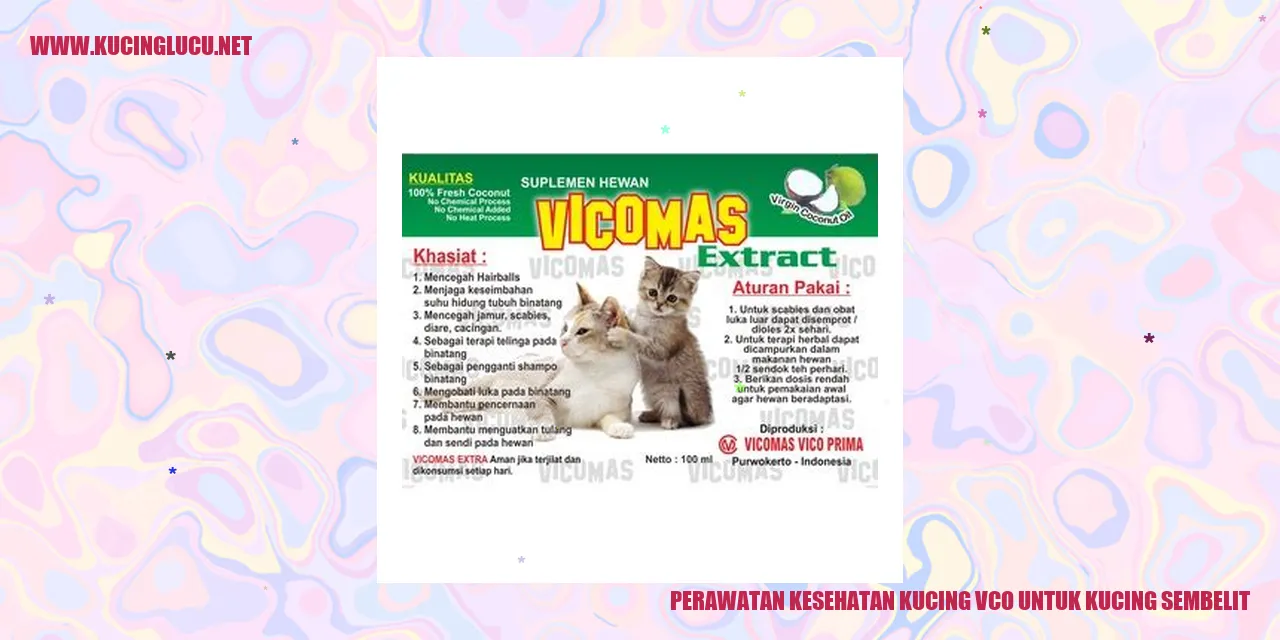 Perawatan Kesehatan Kucing VCO untuk Kucing Sembelit