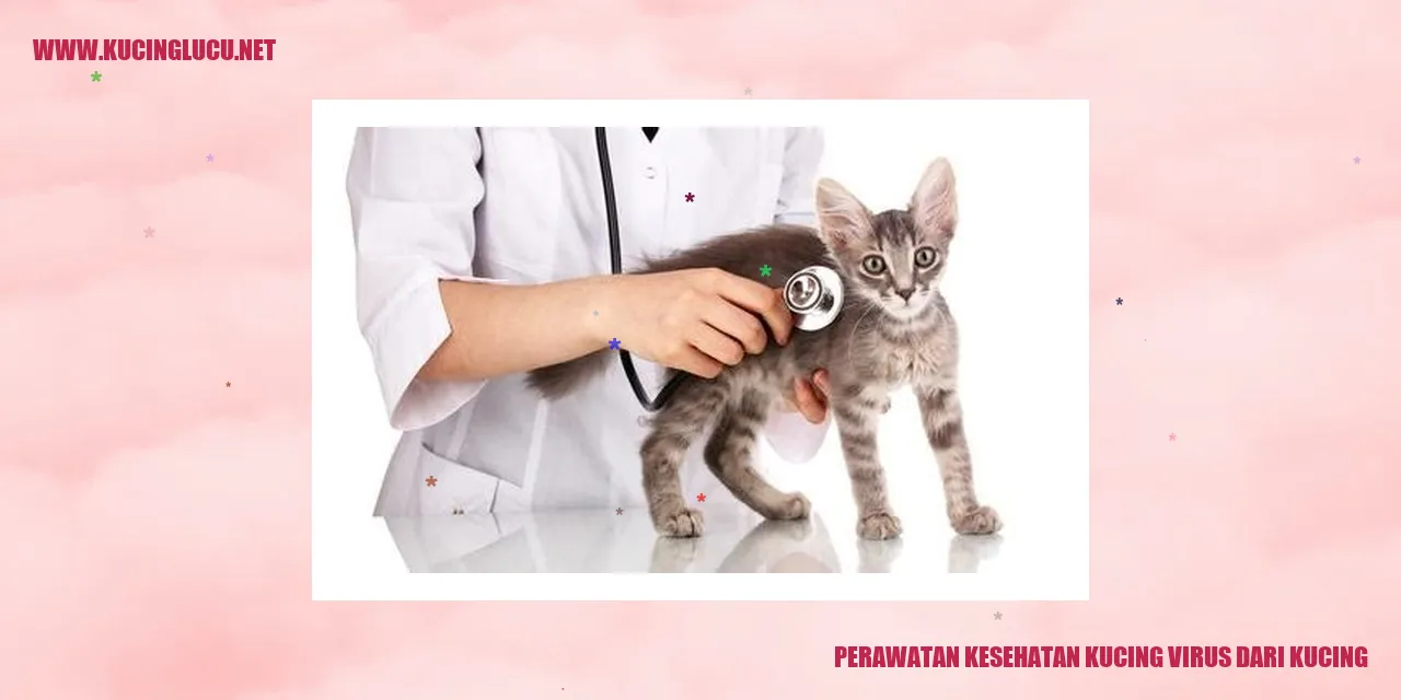 Perawatan Kesehatan Kucing virus dari kucing