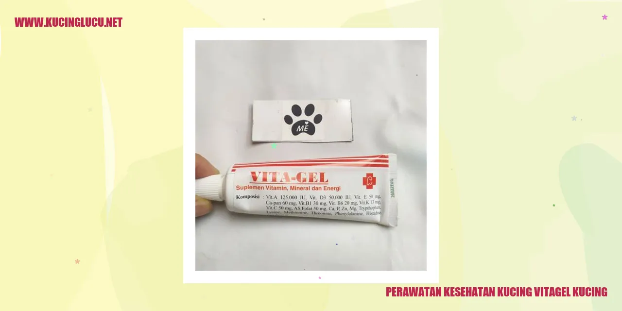 Perawatan Kesehatan Kucing vitagel kucing